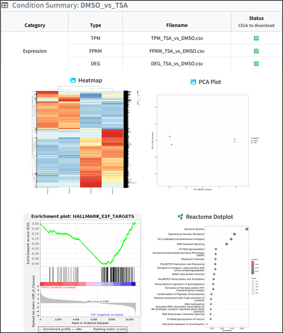 Example Result Screenshot